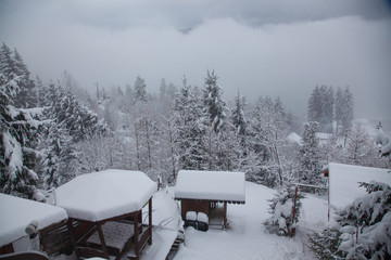 winter at Colibita lake, Romania