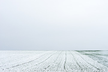 Fototapeta na wymiar Winterliche Felder in der Wetterau, Hessen