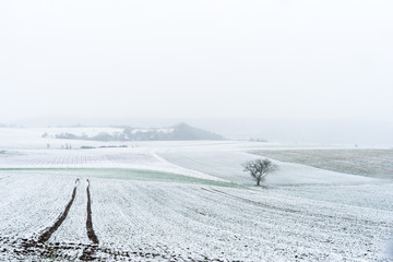 Winterliche Felder in der Wetterau, Hessen