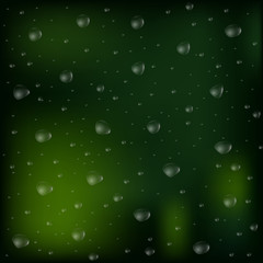 Drops of rain on an evening summer day on a glass of trees blurred green background.