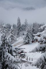 winter at Colibita lake, Romania