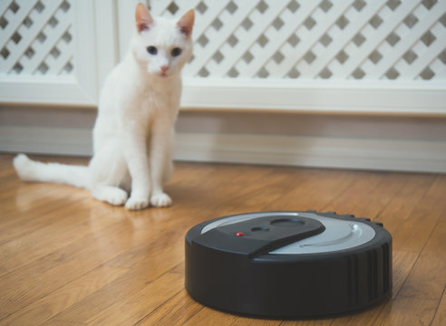 Black robotic vacuum cleaner and white cat.