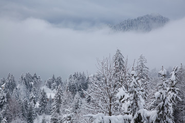 winter at Colibita lake, Romania