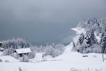 Fototapeta na wymiar winter at Colibita lake, Romania