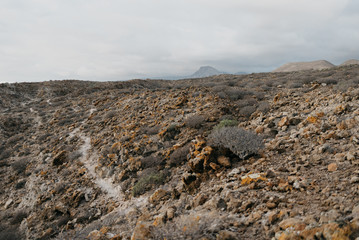 Lonely road through the desert with the mountains in the distance