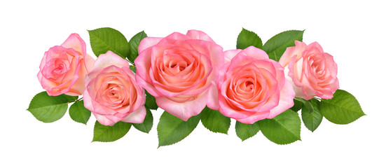 Composition avec des fleurs roses roses. Isolé sur fond blanc