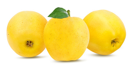 Fresh yellow apple isolated on white background with clipping path