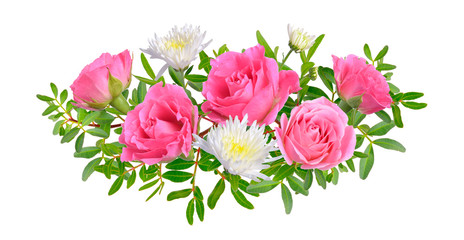 Composition with Pink rose with chrysanthemum. Isolated on white background