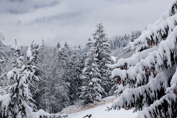 winter at Colibita lake, Romania