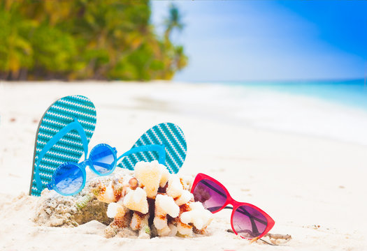 blue flip flops sunglasses and a shell on a tropical Maldives beach.