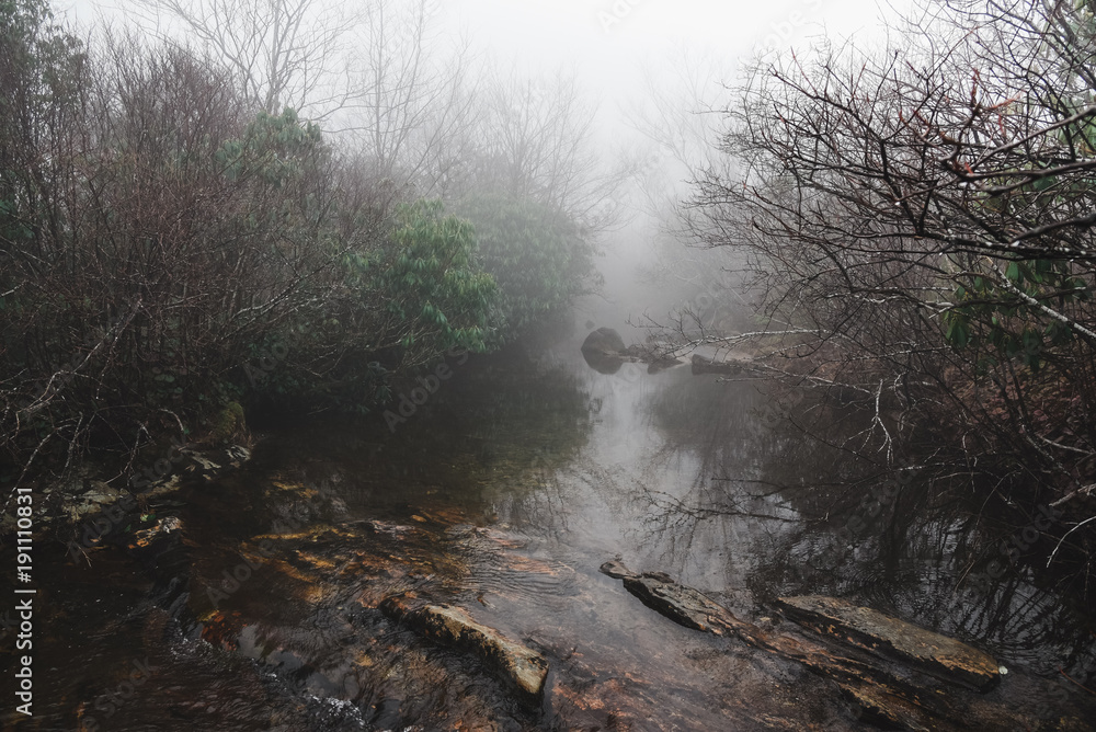 Poster Graveyard Fields on a Foggy Day in the Blue Ridge Mountains, near Asheville North Carolina