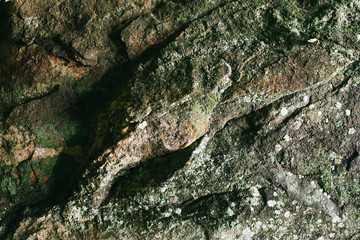 Stone texture with the art of mother nature.