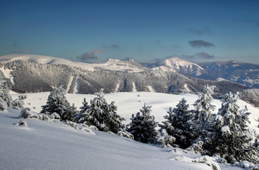 Winter landscape in Velka Fatra mountains with pine trees and woods on ridges under Krizna and snow-capped rounded Ploska, rocky Cierny kamen, Rakytov and Smrekovica peaks, Carpathians Slovakia Europe