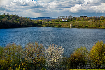 Fototapeta premium Weinfelder Maar at Daun, Eifel, Germany