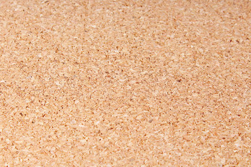 Fototapeta na wymiar Corkwood cork wood closeup pattern texture as background. Macro photo