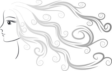 Calligraphic decorative elements with lines