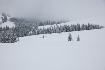 winter in the mountains - small Romanian village in the Carpathians covered with snow