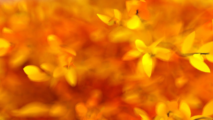 Fototapeta na wymiar Autumnal background texture of foliage. 3d illustration, 3d rendering.