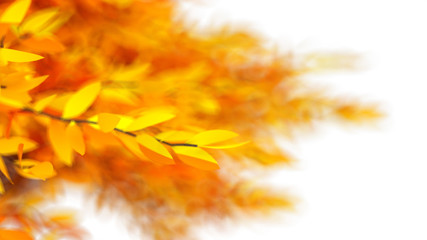 Naklejka na ściany i meble Autumnal background texture of foliage. 3d illustration, 3d rendering.
