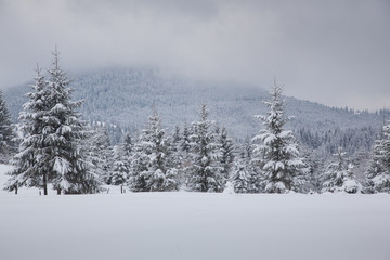 winter in the mountains - small Romanian village in the Carpathians covered with snow