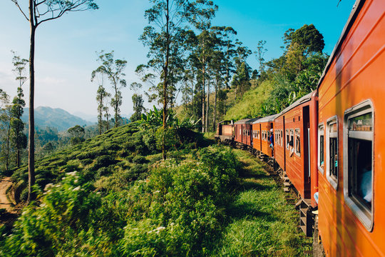 Fototapeta Best train ride in Sri Lanka