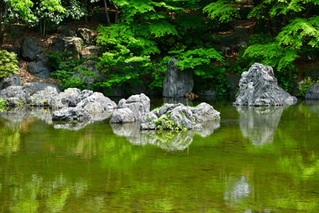 新緑に包まれた日本庭園