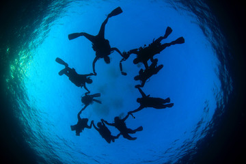 Obraz premium Scuba diving