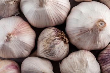 Fresh garlic heads, closeup