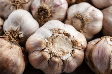 Fresh garlic heads, closeup