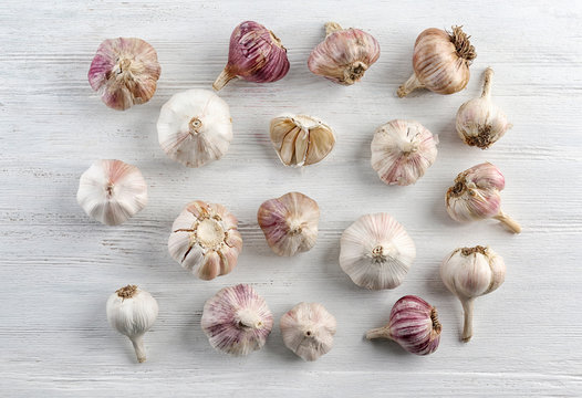 Fresh garlic heads on white wooden  background