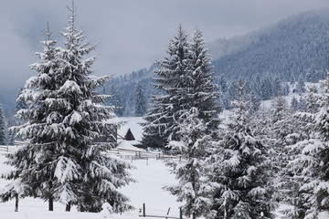 winter in the mountains - small Romanian village in the Carpathians covered with snow