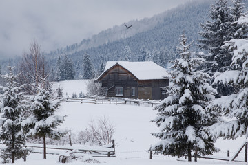 winter in the mountains - small Romanian village in the Carpathians covered with snow