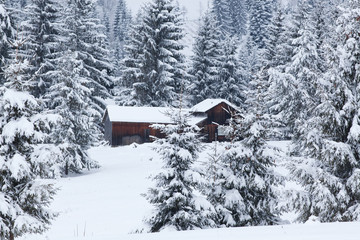 winter in the mountains - small Romanian village in the Carpathians covered with snow