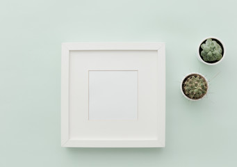 Mockup white frame. Neutral Minimalist Flat Lay Scene with Cactus