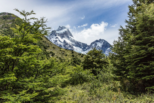 Chile, Regi&oacute;n de Magallanes y de la Ant&aacute;rtica Chilena, Ultima Esperanza, Torres del Paine, O-Circuit-Wanderung 130km, Wald und Berge
