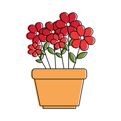 house plant in pot vector illustration design