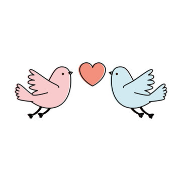 couple doves flying with heart vector illustration design