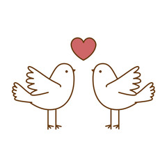 couple doves flying with heart vector illustration design