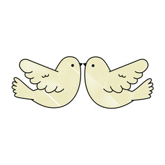 couple doves flying icon vector illustration design