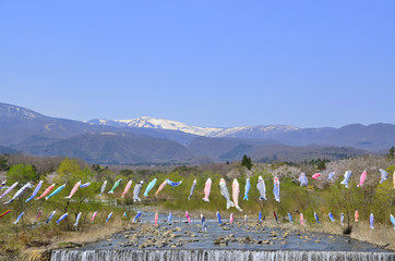 青空と鯉のぼりと蔵王　宮城県蔵王町