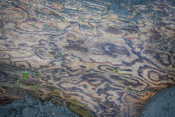 Rippled wood grain texture