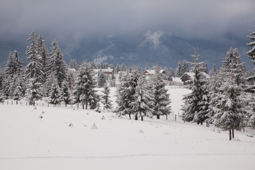 winter in the mountains - small Romanian village in the Carpathians covered with snow