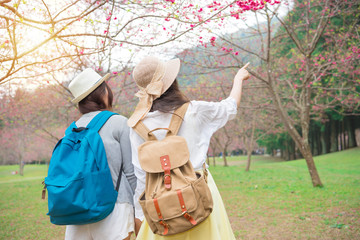 back view photo of girl travel in sakura garden