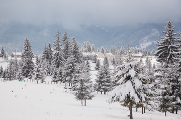 winter in the mountains - small Romanian village in the Carpathians covered with snow
