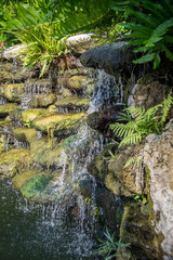 Waterfall in a gardn