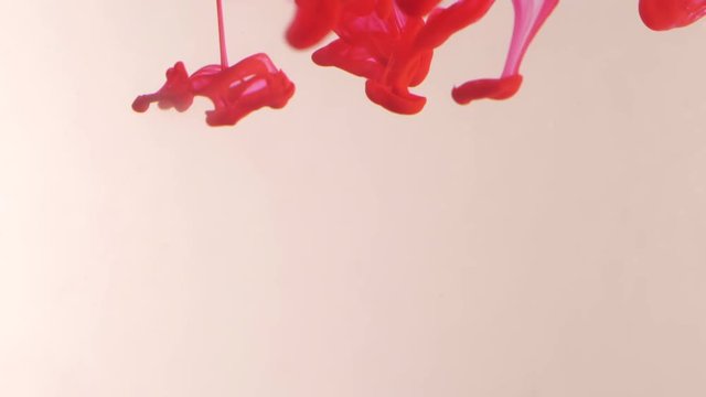 Colored Ink Dropped Into Water. Lovely bright metamorphosis. Cuttlefish ink splatter. volume effect. white background. red dye in water. Slow motion.