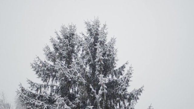 Slowmotion Footage of Snowfall in northern Italy