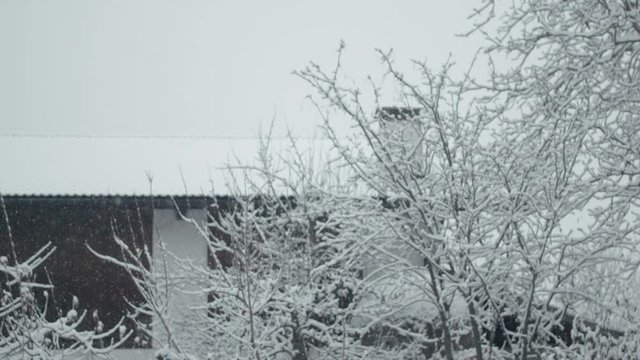 Slowmotion Footage of Snowfall in northern Italy