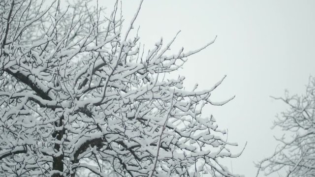 Slowmotion Footage of Snowfall in northern Italy