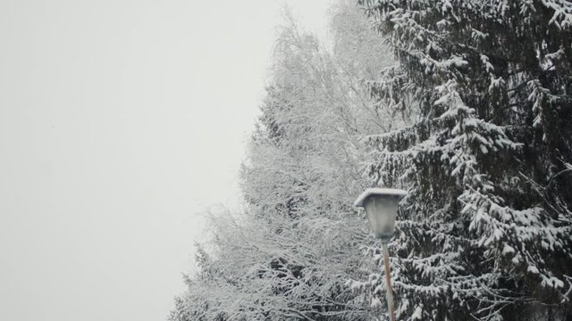 Slowmotion Footage of Snowfall in northern Italy